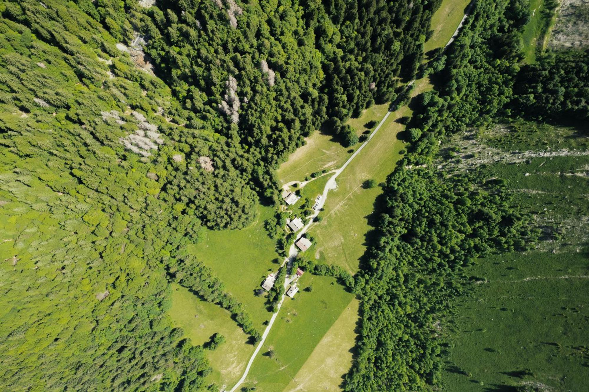 Chalet 1864 Льо Гран-Борнан Екстериор снимка