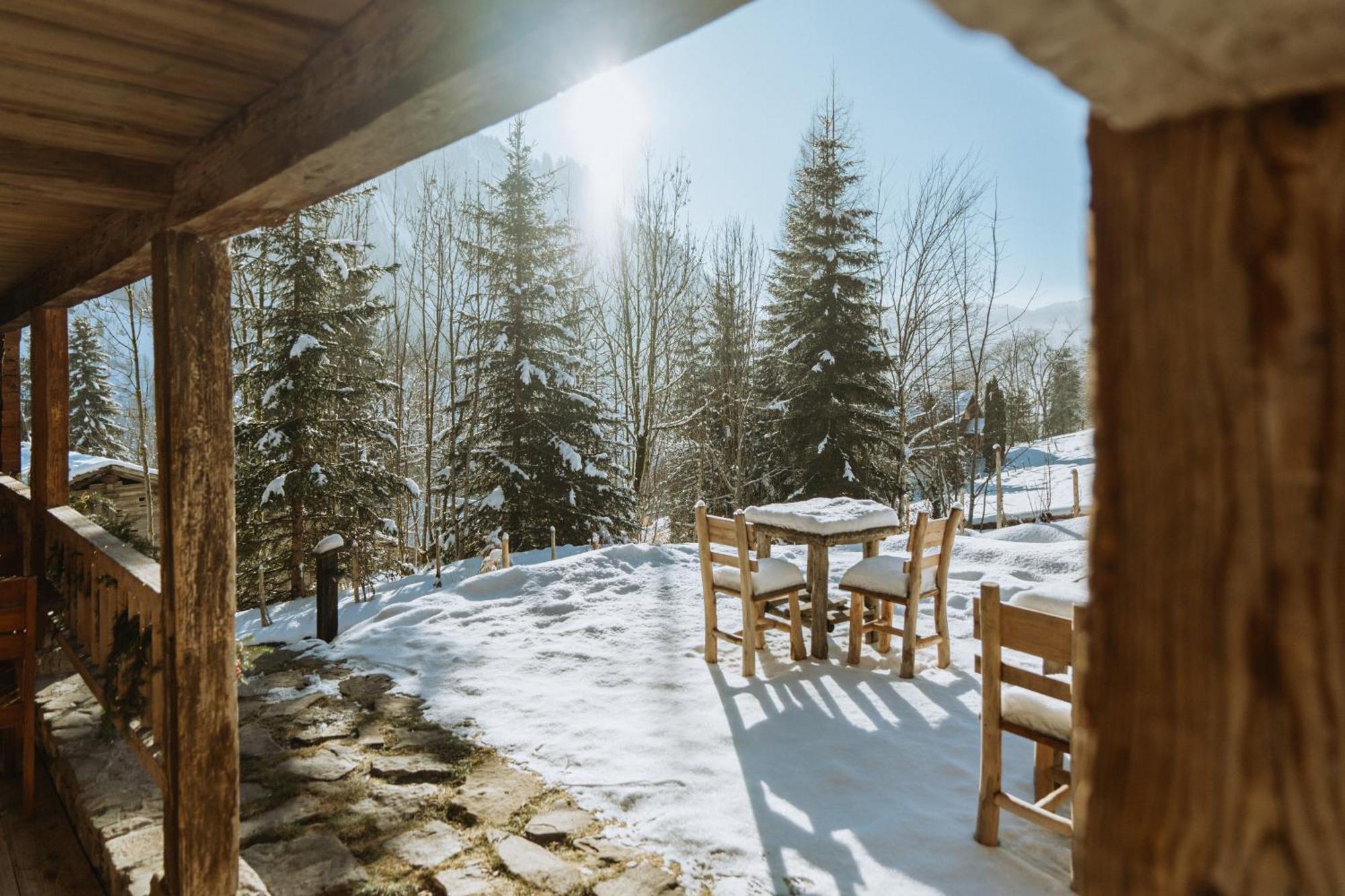 Chalet 1864 Льо Гран-Борнан Екстериор снимка