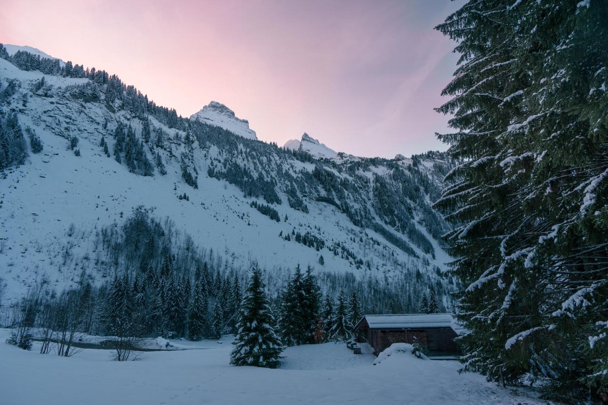 Chalet 1864 Льо Гран-Борнан Екстериор снимка